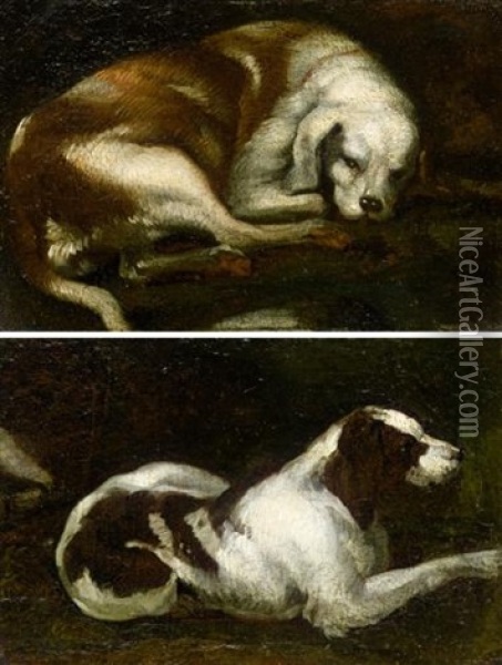 Study Of A Resting Hound (+ Another, Similar; Pair) Oil Painting - Sinibaldo Scorza