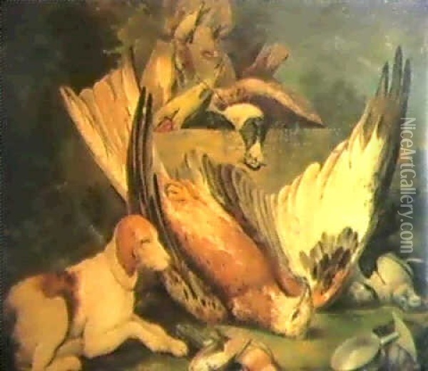 A Still Life Of Dead Birds.... Oil Painting - Philipp Ferdinand de Hamilton
