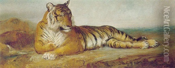 The Tiger Oil Painting - Ramon Marti Alsina
