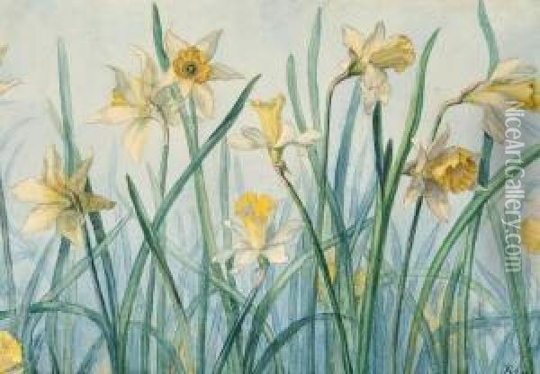 White Narcissus Oil Painting - Anna L., Nee Hansen Syberg