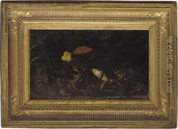A Forest Floor With Frogs, A Lizard, A Snail And Butterflies Oil Painting - Otto Marseus Snuff. Van Schrieck