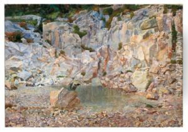 Der Geier Im Felsengestein Oil Painting - Karl Mediz