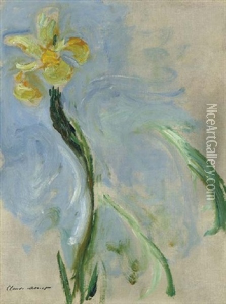 Iris Jaune Oil Painting - Claude Monet