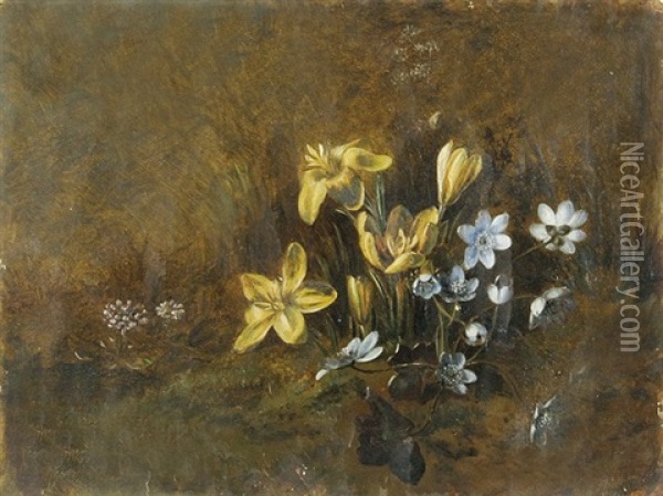 Pflanzenstudie Oil Painting - Christian Friedrich Gille
