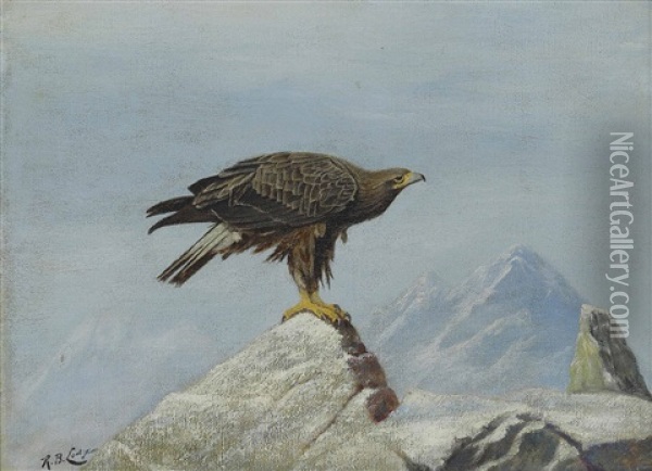 A Young Sea Eagle On A Rocky Outcrop Oil Painting - Reginald Lodge