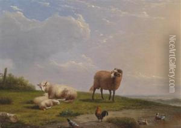 Sheep Oil Painting - Franz van Severdonck