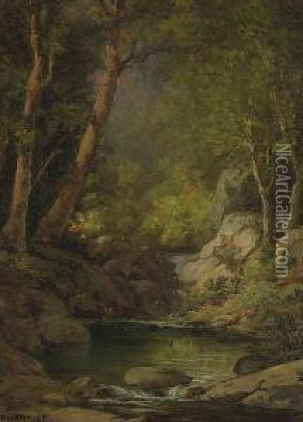 Mountain Stream Oil Painting - William Jackson