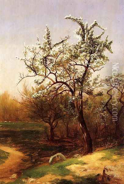 Pear Blossoms Oil Painting - David Johnson