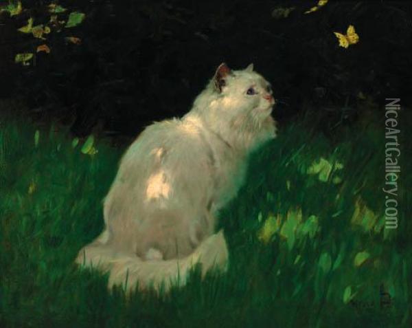 A White Persian Cat Look At A Butterfly Oil Painting - Arthur Heyer