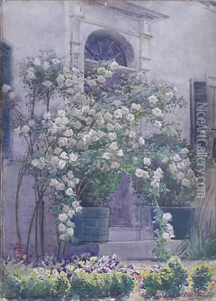 ''century Old Cottage Roses''- Oil Painting - George Walter Dawson