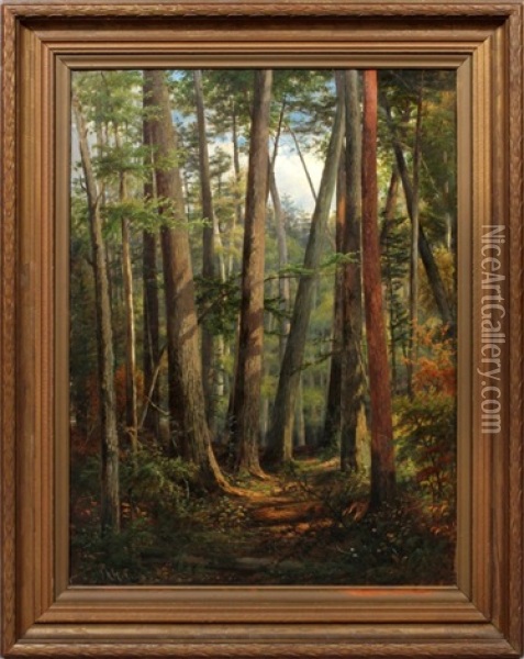 Forest Scene Oil Painting - Joseph Antonio Hekking