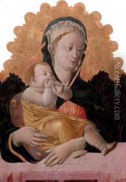 The Madonna And Child Oil Painting - Francesco Squarcione