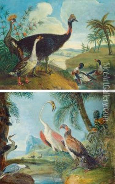 Uccelli Esotici In Un Paesaggio Oil Painting - Ferdinand Phillip de Hamilton