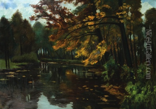 Reka Na Podzim Oil Painting - Antonin Hudecek