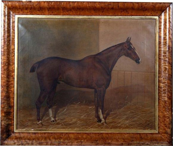A Bay Hunter In A Stable Oil Painting - Walter Harrowing