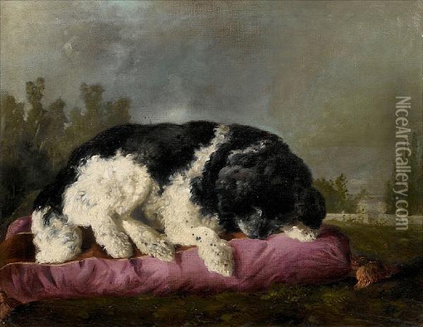 A Portrait Of The Artist's Dog Asleep Oil Painting - Francisco Domingo Marques