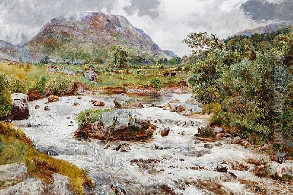 A Highland Stream Oil Painting - William Davis