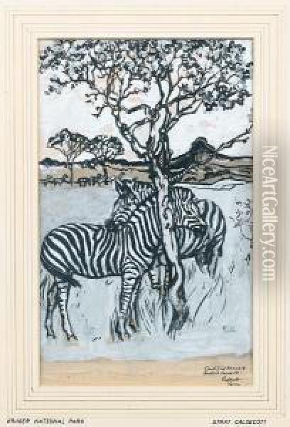 Zebras Grazing In The Kruger Oil Painting - Harry Stratford Caldecott
