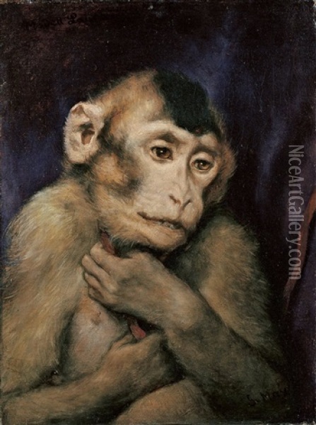 Kleiner Affe Mit Stock Oil Painting - Gabriel von Max