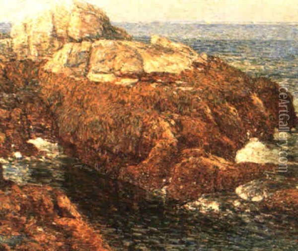 Kelp-covered Rocks, Isle Of Shoals Oil Painting - Childe Hassam