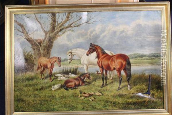 Mares And Foals Oil Painting - William Eddowes Turner