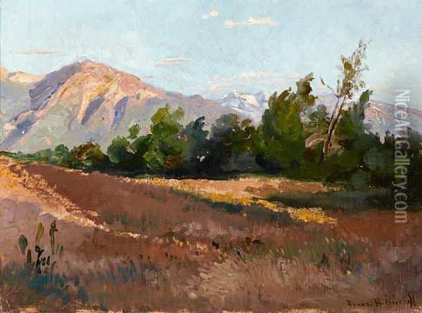 Along The San Gabriels Oil Painting - Franz Bischoff