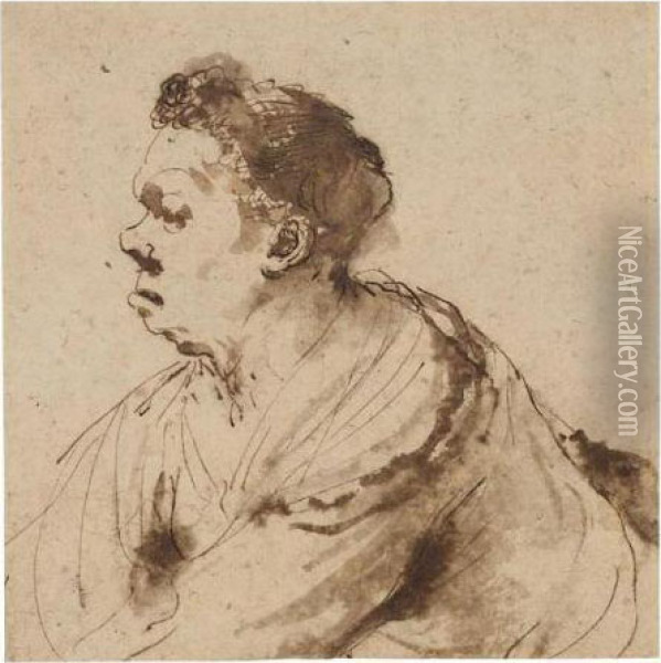 Head Of A Snub-nosed Man In Profile Oil Painting - Guercino
