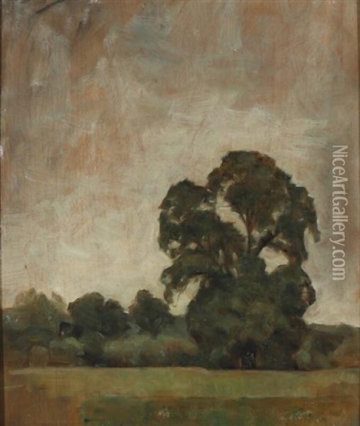 Landscape Near Naer Oxford Oil Painting - Svend Hammershoi