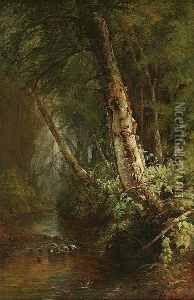 Old Birch Tree Oil Painting - Julie Hart Beers