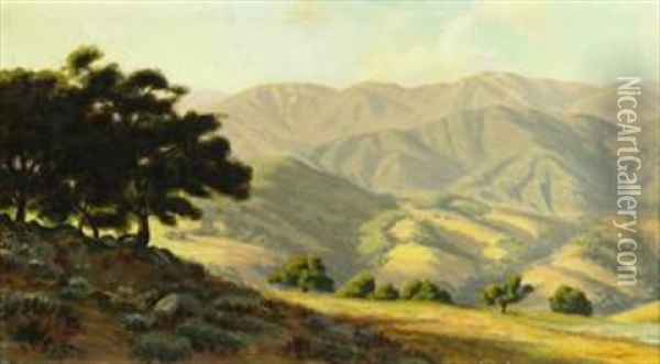 Sunshine On The Bolinas Foothills Oil Painting - Ludmilla Pilat Welch