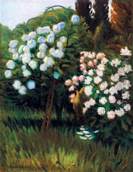 Garden In Nagybanya (rose Bushes) Oil Painting - Jeno Maticska
