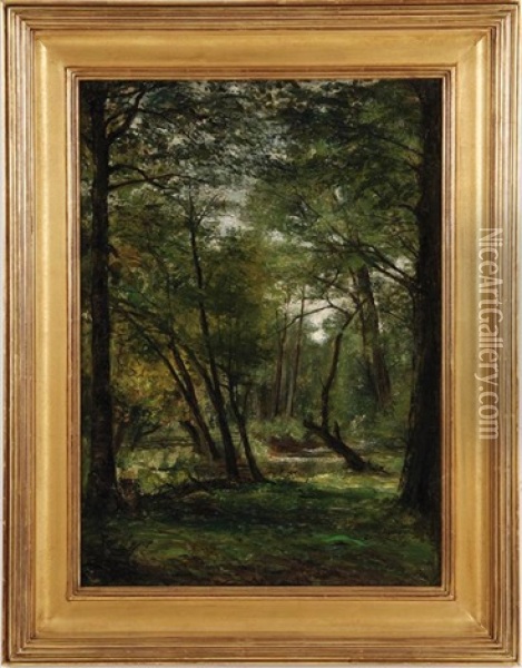 Creek In The Woods Oil Painting - George Hetzel