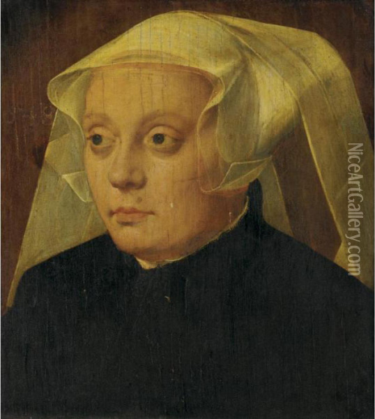 Portrait Of A Lady In White Headdress Oil Painting - Bartholomaeus I Bruyn
