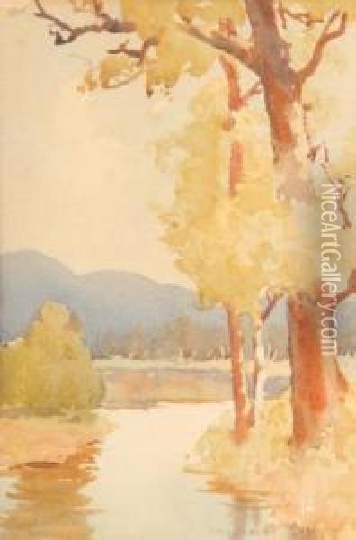 Trees Beside A Creek Oil Painting - James Crowe Richmond
