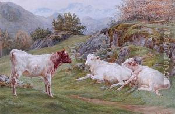 Calves On A Hillside Oil Painting - Basil Bradley