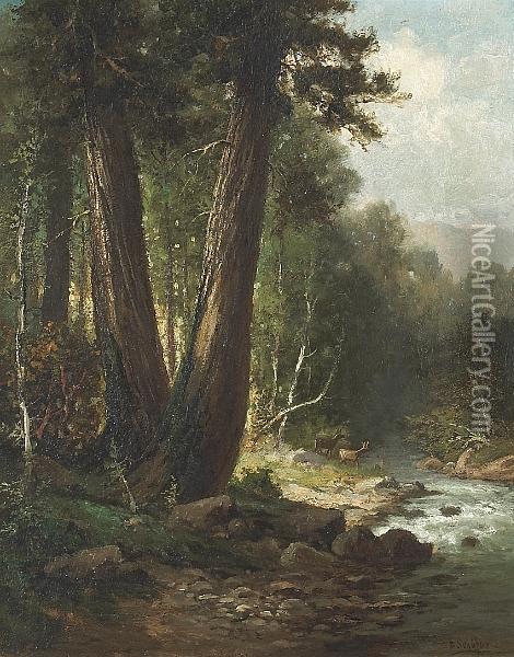 On Boulder Creek, Santa Cruz Mountains, California Oil Painting - Frederick Ferdinand Schafer