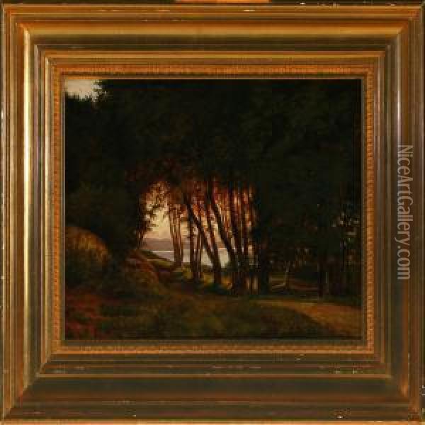 Study Of The Forrest At Fureso, Evening Oil Painting - Anton Edvard Kieldrup