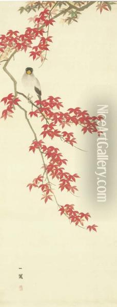 Autumn Maples And Japanese Grosbeak Oil Painting - Ippo