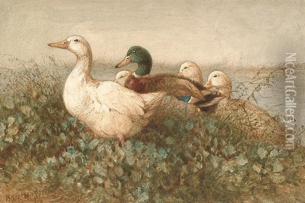 Ducks Near A Pond Oil Painting - Harrison William Weir