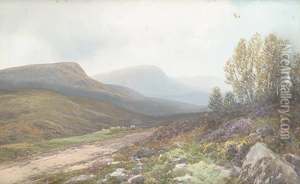 Near Loch Achray, Scotland Oil Painting - Frederick John Widgery