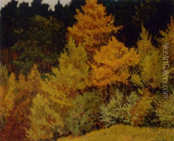 Herbst Im Schiesstattgraben Oil Painting - Max Kahrer