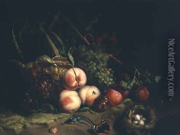 Still life with fruit Oil Painting - Rachel Ruysch