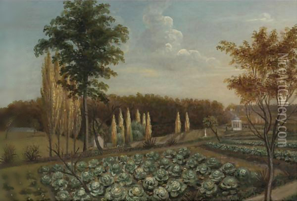 Cabbage Patch, The Gardens Of Belfield, Pennsylvania Oil Painting - Charles Willson Peale