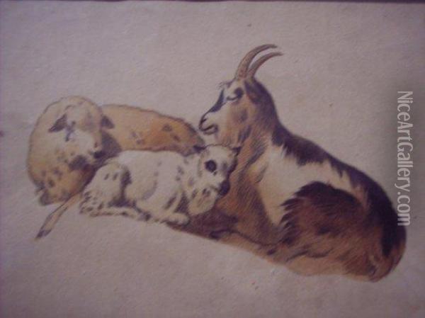 Study Of Two Sheep And A Goat Oil Painting - Ludwig Gustav Voltz
