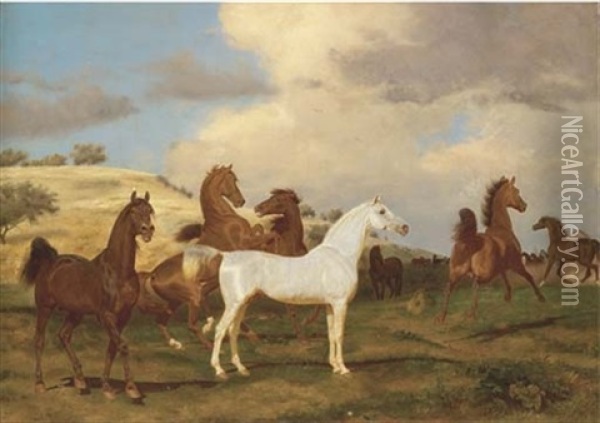 Horses In A Landscape Oil Painting - Friedrich Anton Kilp