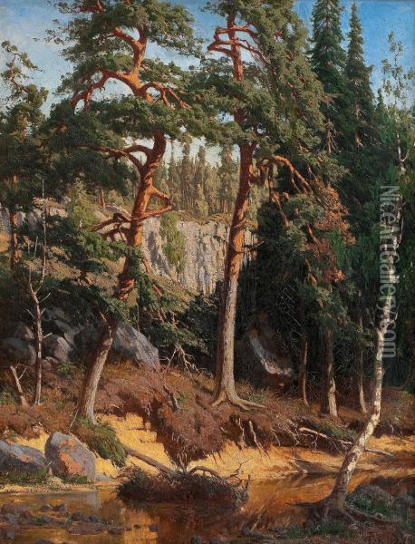 In The Forest Oil Painting - Fanny Churberg