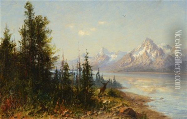 Jackson Lake Majesty, Wyoming Oil Painting - John Fery