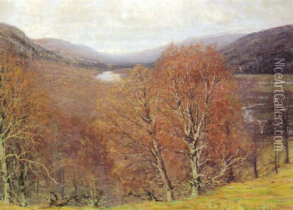 Schottische Tallandschaft An Einem Prachtvollen Herbsttag Oil Painting - Alexander Brownlie Docharty