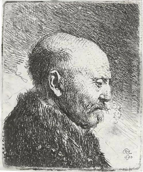 Bald-headed man in Profile Right; The Artist's Father Oil Painting - Rembrandt Van Rijn