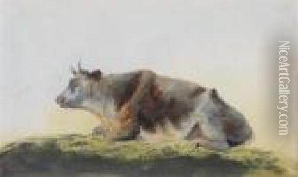 Study Of A Cow In The Vicinity Of Hampstead Heath Oil Painting - John Glover